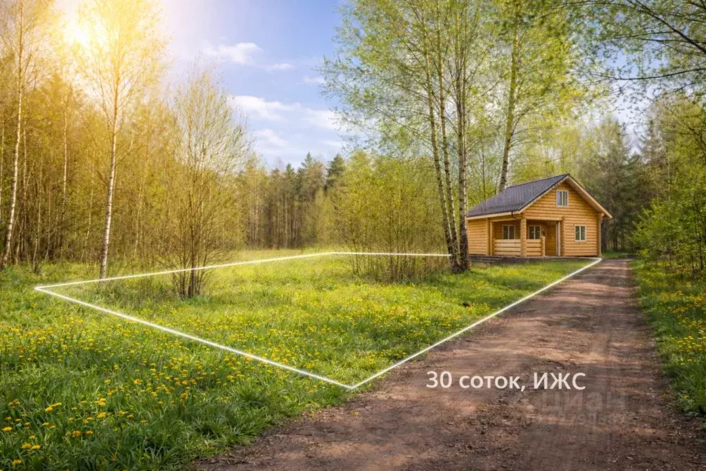 Участок в Псковская область, Псковский район, Ядровская волость, д. ... - Фото 0