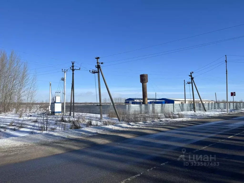 Склад в Воронежская область, Новоусманский район, Усманское 1-е с/пос, ... - Фото 2