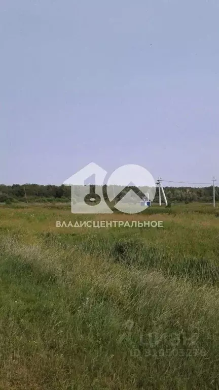 Участок в Новосибирская область, Мошковский район, с. Белоярка ул. ... - Фото 1