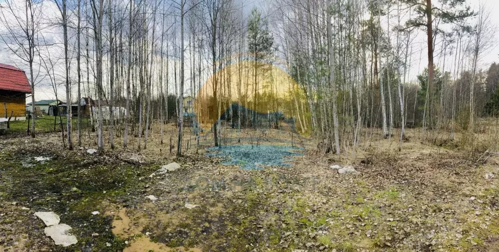 Участок в Тверская область, Конаковский муниципальный округ, Полесье ... - Фото 1