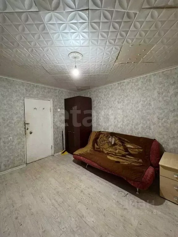 Комната Пермский край, Пермь ул. Емельяна Ярославского, 10/2 (14.0 м) - Фото 1