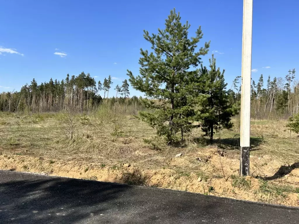 Участок в Московская область, Электроугли Богородский городской округ, ... - Фото 1