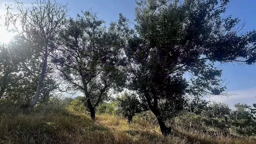 Дом в Котельниковское сельское поселение (50 м) - Фото 1