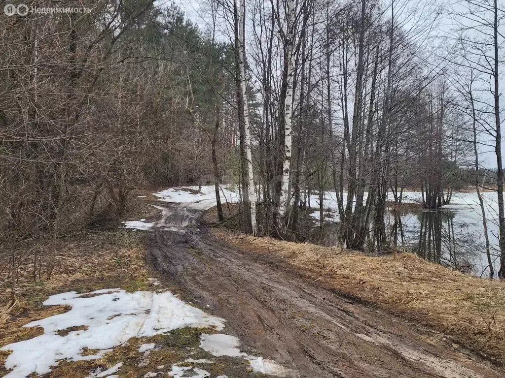 Участок в Брянский район, Журиничское сельское поселение (486 м) - Фото 1