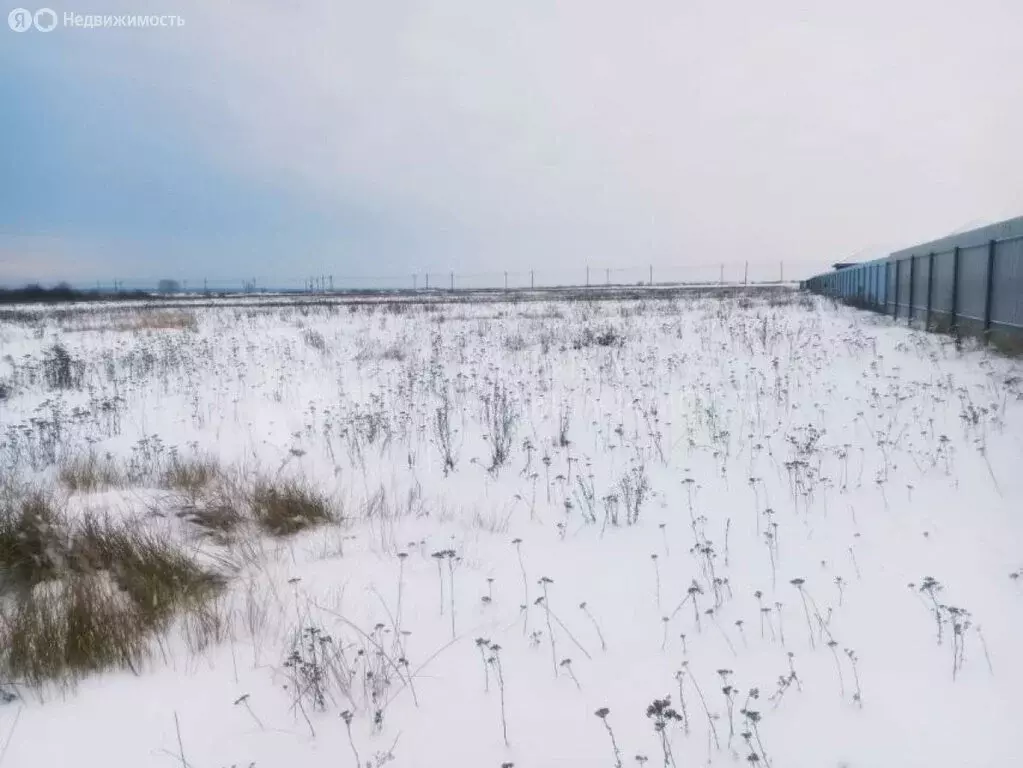 Участок в Тюменский район, село Чикча (15 м) - Фото 1