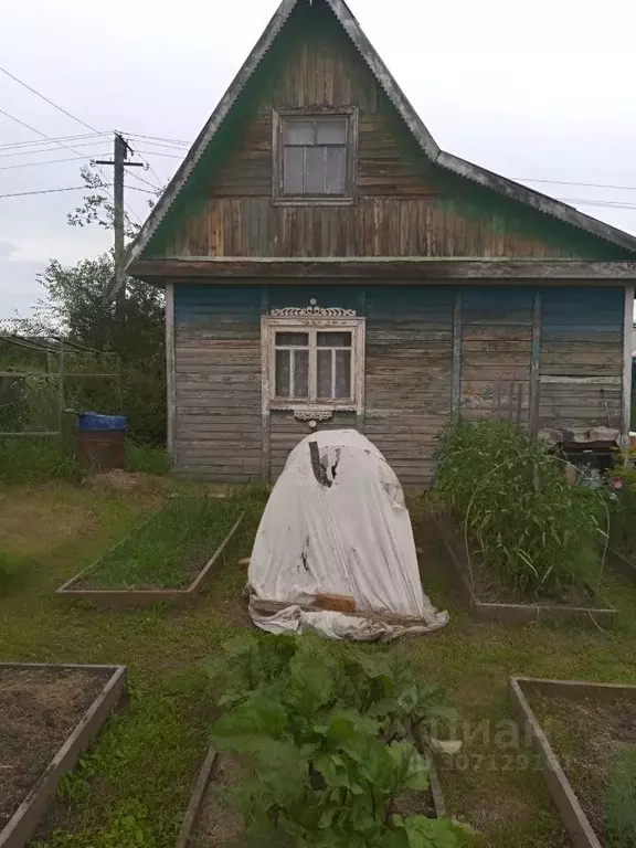 Дом в Омская область, Омский район, Новоомское с/пос, Зеленый Берег ... - Фото 0