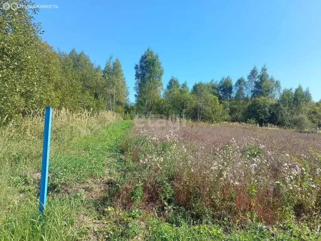 участок в боровский район, село ворсино (10 м) - Фото 0