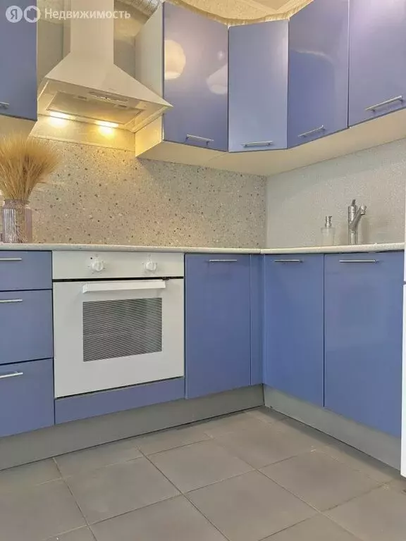 Квартира-студия: посёлок Шушары, Первомайская улица, 5к1 (25.4 м) - Фото 1