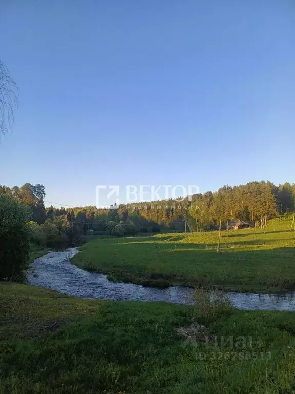Участок в Костромская область, Красносельский район, Чапаевское с/пос, ... - Фото 2