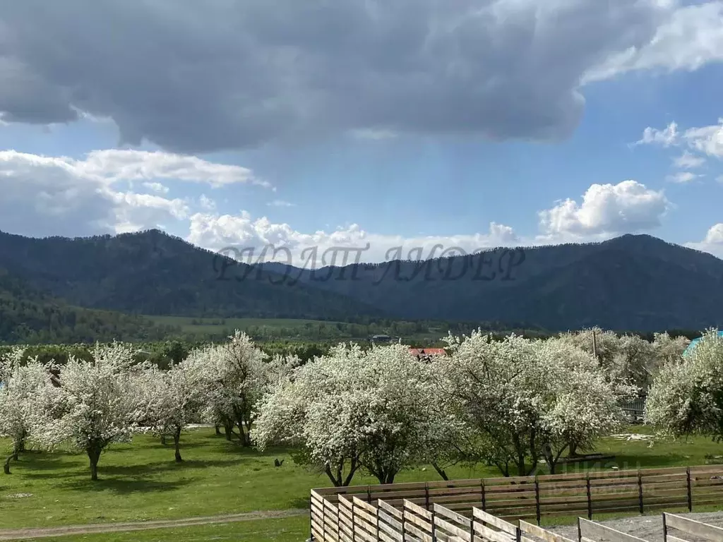 Дом в Алтай, Чемальский район, Элекмонарское с/пос, с. Элекмонар  (246 ... - Фото 1