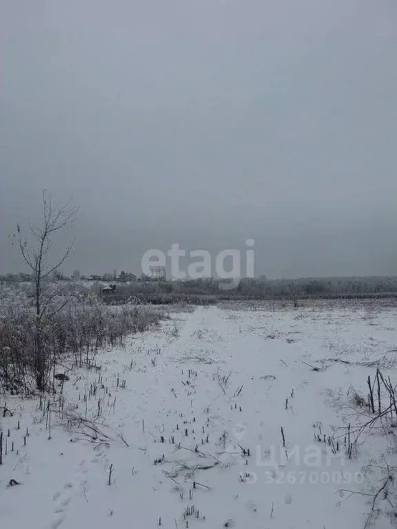Участок в Воронежская область, Семилукский район, Девицкое с/пос, ... - Фото 1