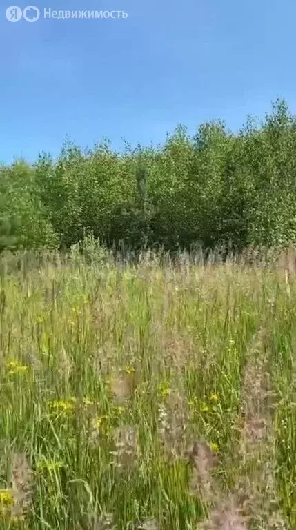 Участок в Большое Руново, Южная улица (15 м) - Фото 1
