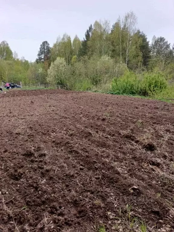 Участок в Свердловская область, Верхняя Пышма городской округ, пос. ... - Фото 1