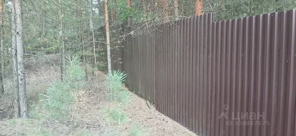 Участок в Владимирская область, Судогодский район, Вяткинское ... - Фото 2