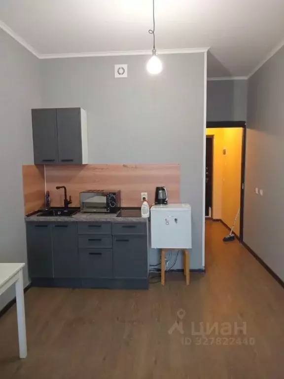 Студия Санкт-Петербург ул. Летчика Лихолетова, 14к2 (25.0 м) - Фото 2