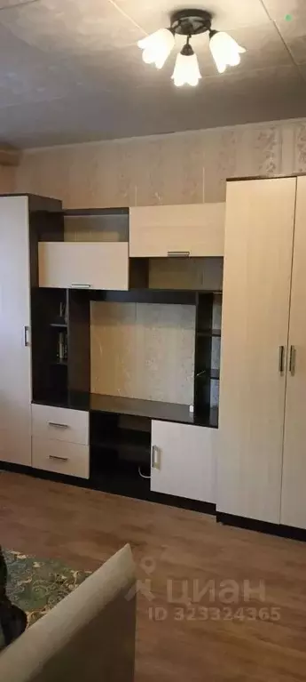 1-к кв. Самарская область, Самара ул. Челюскинцев, 12 (22.0 м) - Фото 1