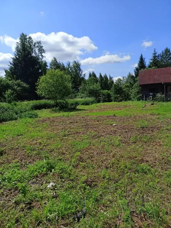 Участок в Вологодская область, Торфяник-2 садоводческое товарищество  ... - Фото 1