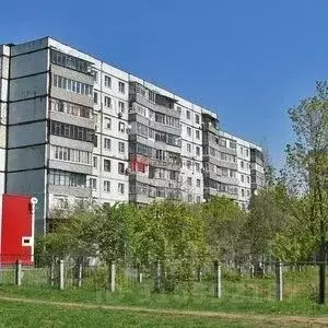 1-к кв. Белгородская область, Старый Оскол Студенческий мкр, 1/2 (31.0 ... - Фото 1