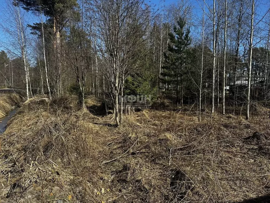 Участок в Карелия, Прионежский муниципальный район, с. Деревянное  ... - Фото 2