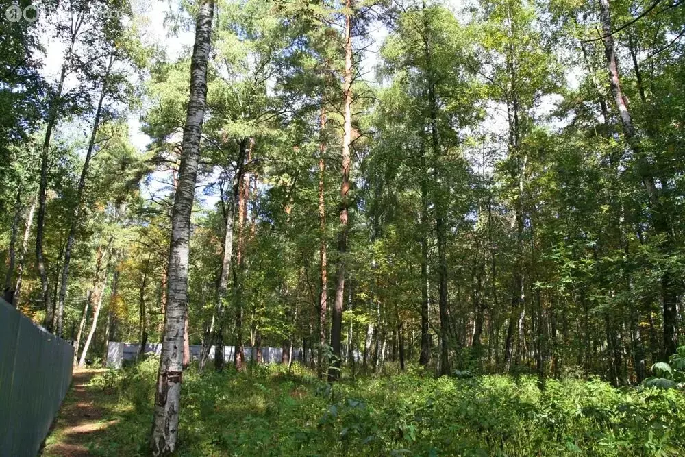 Участок в Одинцовский городской округ, деревня Сальково (520 м) - Фото 1