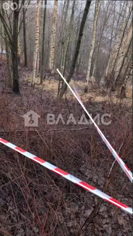 Участок в деревня Юкки, Еловая аллея, 48А (6 м) - Фото 2