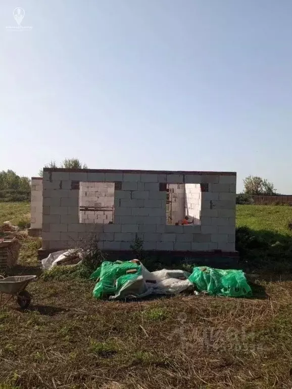 Дом в Рязанская область, Рыбновский муниципальный округ, д. Большое ... - Фото 2