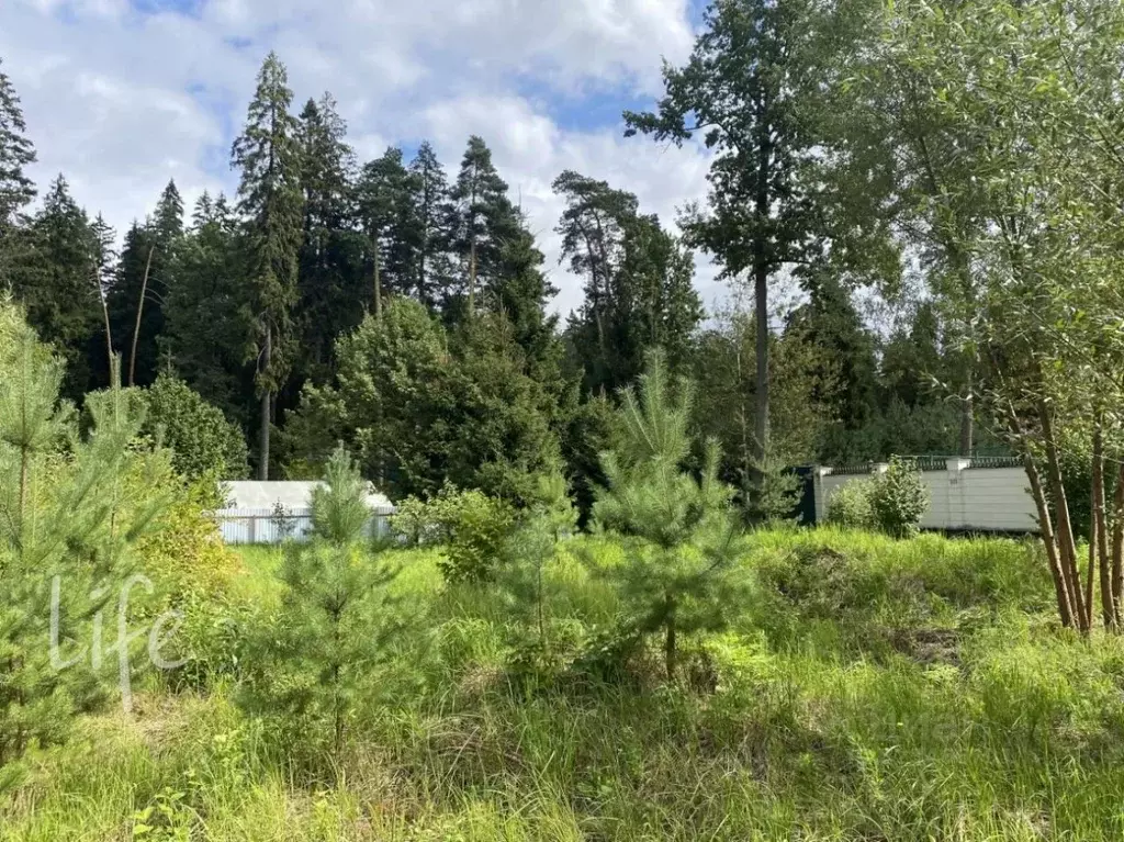 Участок в Московская область, Химки городской округ, д. 5-е Горки 8 ... - Фото 2