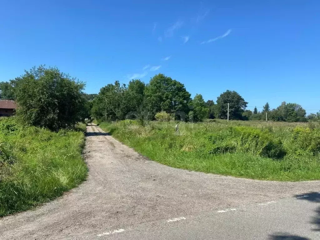 Участок в Калининградская область, Гурьевский муниципальный округ, ... - Фото 1