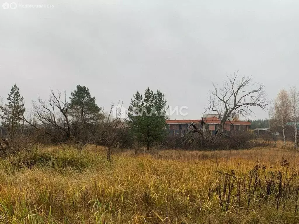 Участок в село Староживотинное, улица Артамонова, 74 (32.24 м) - Фото 2