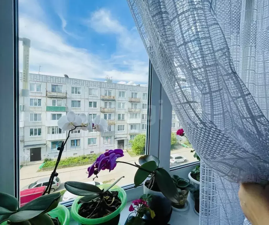 2-к кв. Псковская область, Остров Авиационная ул., 13 (48.0 м) - Фото 1