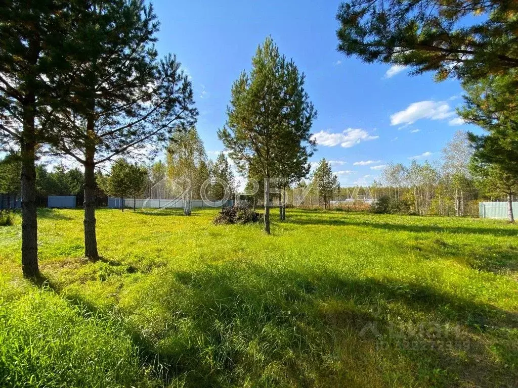 Участок в Тюменская область, Тюменский муниципальный округ, Ежевика дп ... - Фото 1