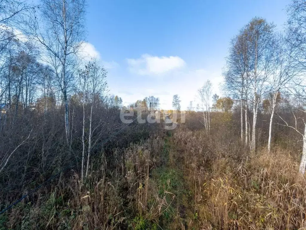 Участок в Тюменская область, Нижнетавдинский муниципальный округ, ... - Фото 2