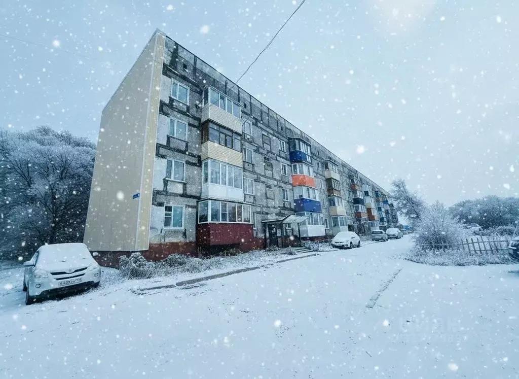 3-к кв. Камчатский край, Петропавловск-Камчатский ул. Старицина, 12 ... - Фото 1