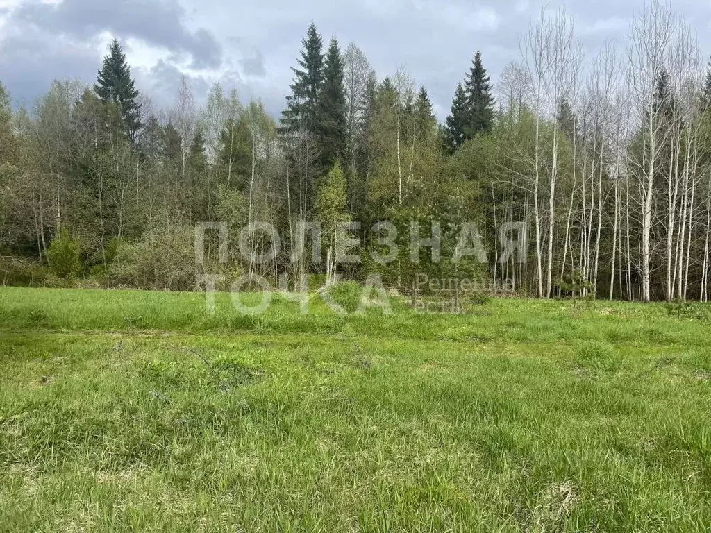 Участок в Новгородская область, Боровичский район, Сушанское с/пос, ... - Фото 2