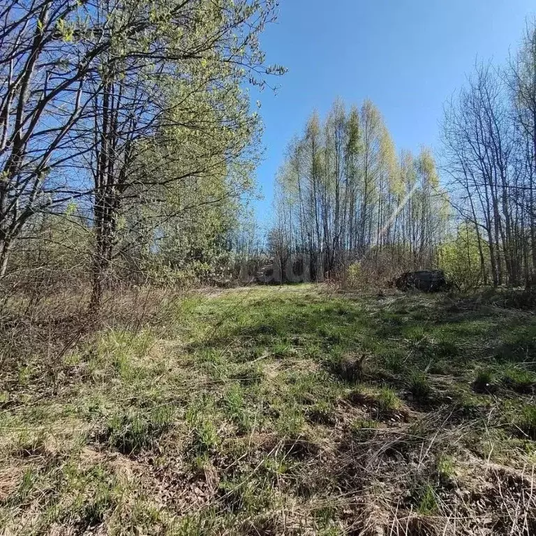 Дом в Вологодская область, Вологда Сохатый садоводческое товарищество, ... - Фото 1