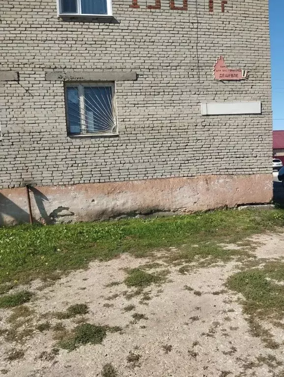 Помещение свободного назначения в Пензенская область, с. Вадинск ул. ... - Фото 1