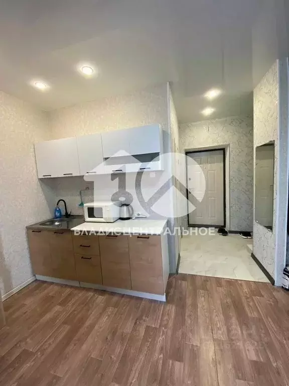 Студия Новосибирская область, Новосибирский район, Мичуринский ... - Фото 0