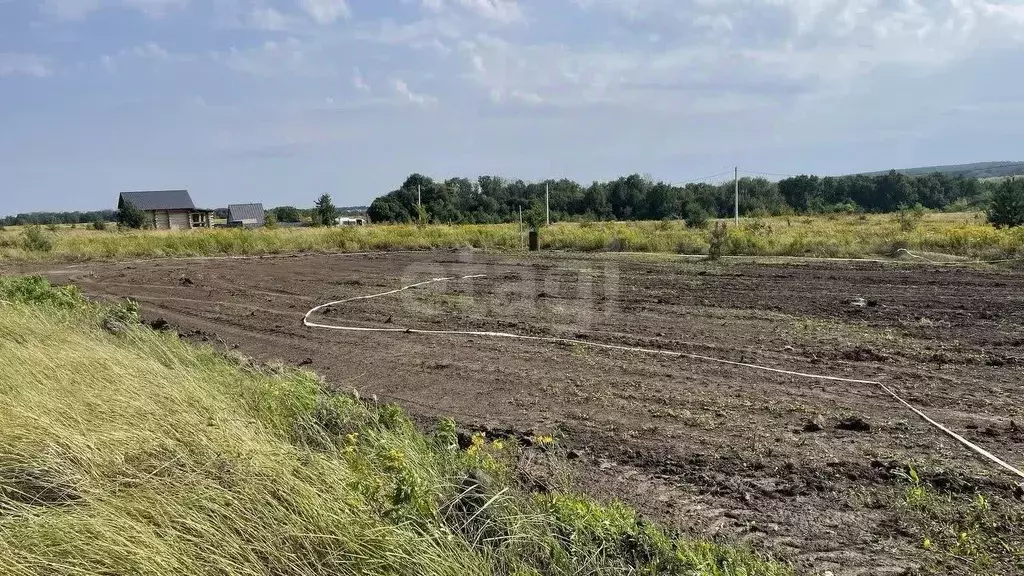 Участок в Курская область, Курский район, Моковский сельсовет, д. 1-я ... - Фото 1