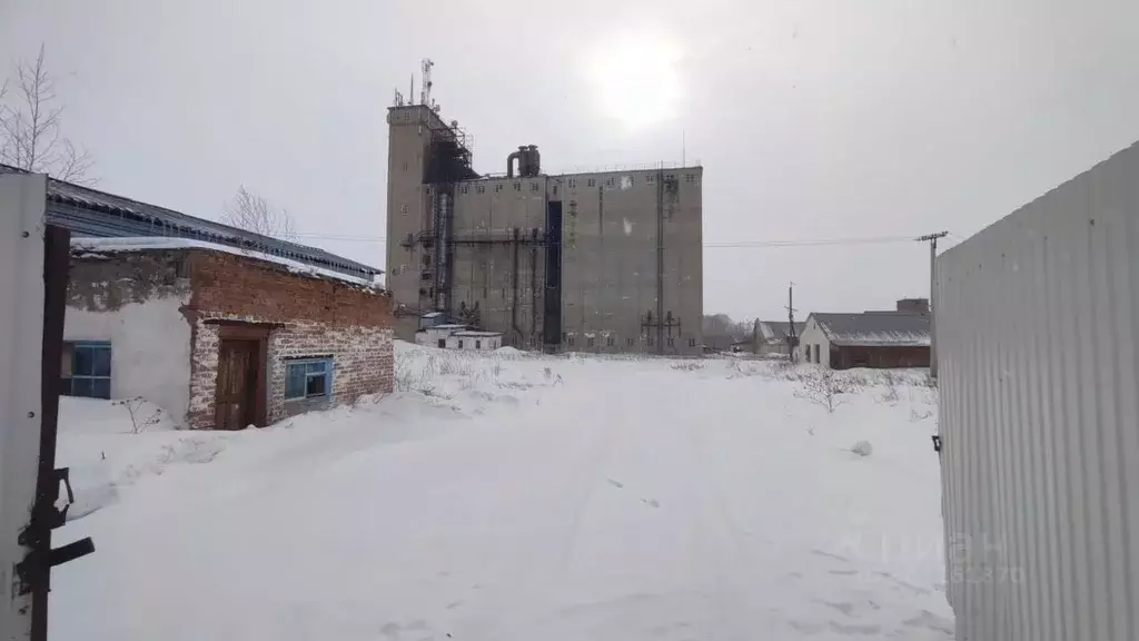 Производственное помещение в Новосибирская область, Тогучинский район, ... - Фото 0