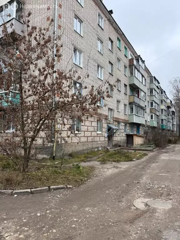 1-комнатная квартира: Гусь-Хрустальный, Теплицкий проспект, 58 (30.5 ... - Фото 1