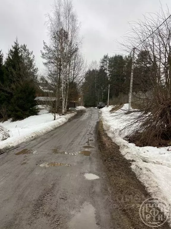 Участок в Ленинградская область, Всеволожский район, Токсовское ... - Фото 2