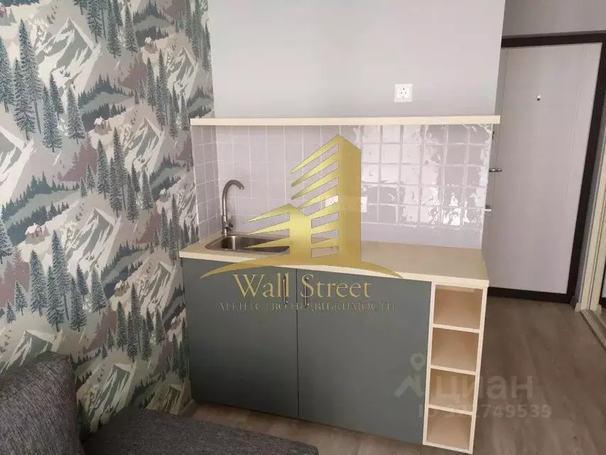 Студия Новосибирская область, Новосибирск Обская ул., 46/2 (17.0 м) - Фото 1