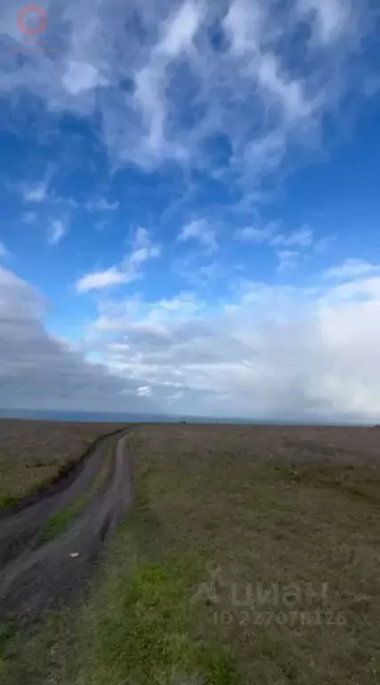Участок в Крым, Ленинский район, Калиновское с/пос, Насыр урочище  ... - Фото 1