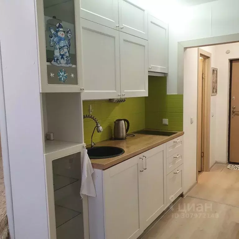 Студия Санкт-Петербург дор. Кушелевская, 7к6 (26.0 м) - Фото 0