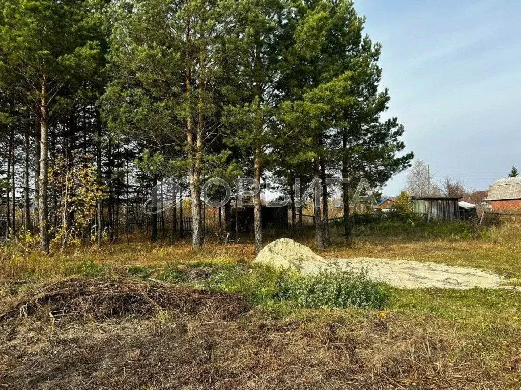 Участок в Тюменская область, Тюменский район, Нива СНТ ул. Цветная ... - Фото 0