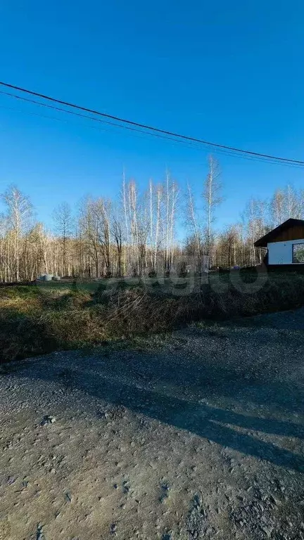 Участок 12 сот. (СНТ, ДНП) - Фото 1