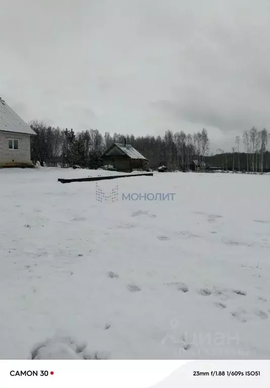 Участок в Нижегородская область, Городецкий муниципальный округ, с. ... - Фото 1