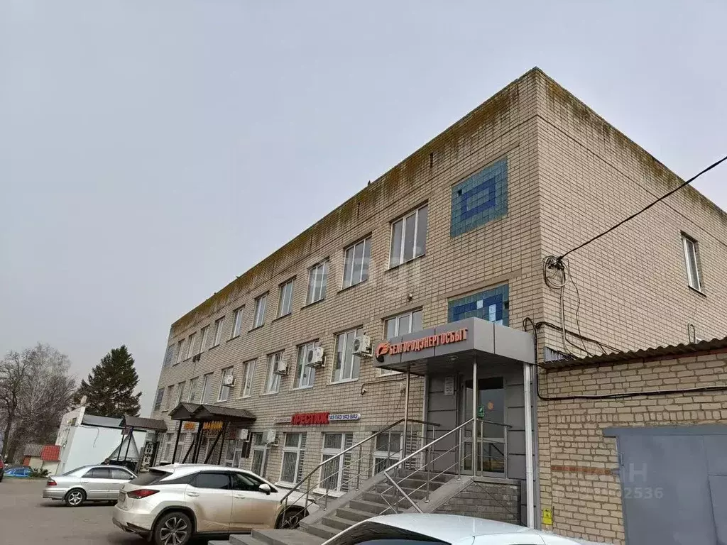 Офис в Белгородская область, Вейделевка рп ул. Центральная, 46/1 (824 ... - Фото 0