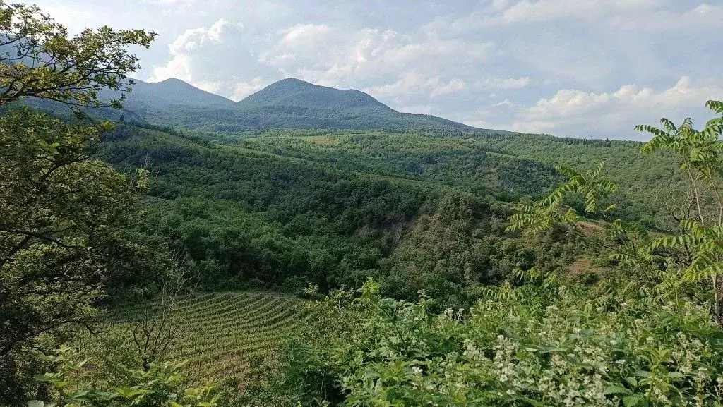 Участок в Крым, Алушта городской округ, с. Малый Маяк  (8.0 сот.) - Фото 0