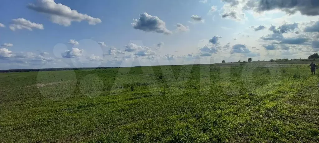 Участок 4,63 га (СНТ, ДНП) - Фото 1